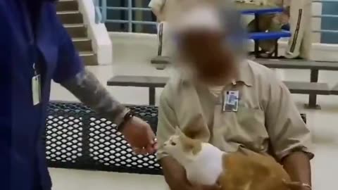 How 200 Kittens and Prisoners Gave Each Other a Second Chance