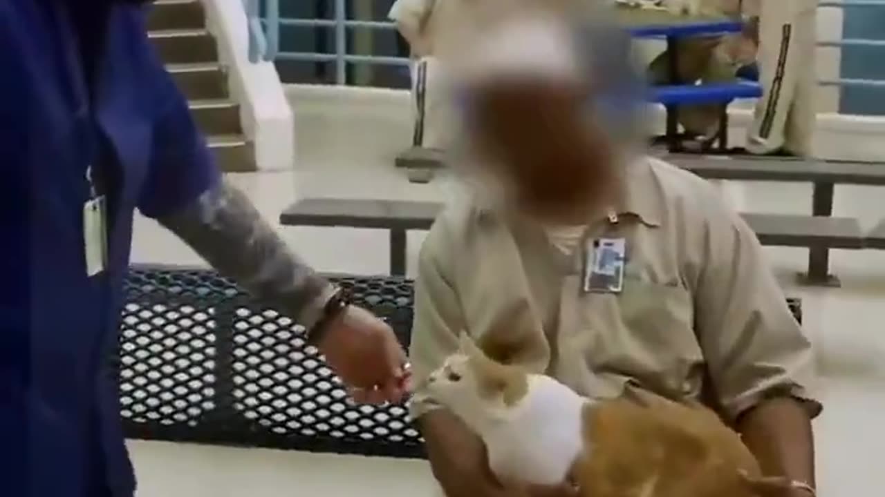 How 200 Kittens and Prisoners Gave Each Other a Second Chance