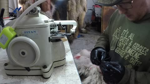 How To - Sewing Coyote hide