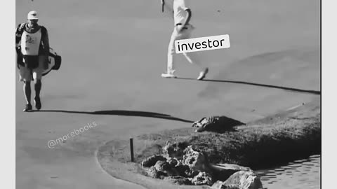 Tedar vs Investors