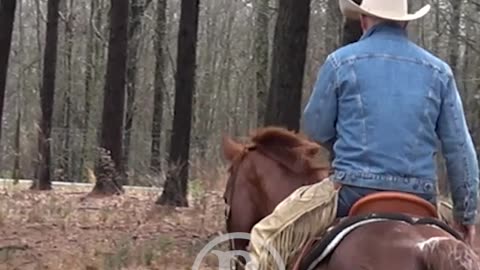 Horses like to create space for themselves when they feel pressure.