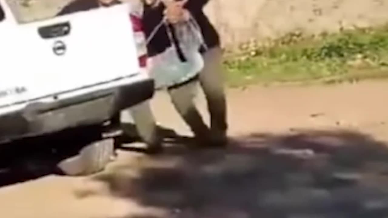 What would you do?