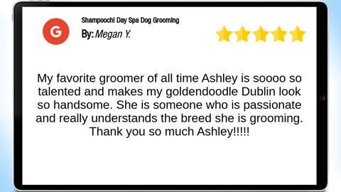 Shampoochi Day Spa Port St. Lucie Exceptional 5 Star Review by Megan Young