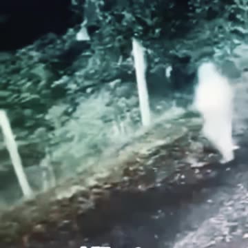 The Enigma of Villarrica, Chile: Ghost, Illusion, Being of Light?