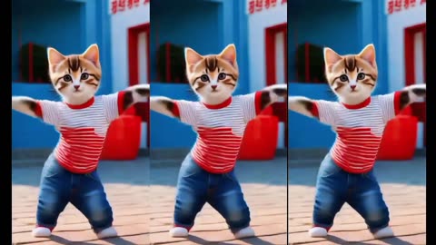 A Dancing Cat