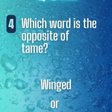 Word Quiz 3