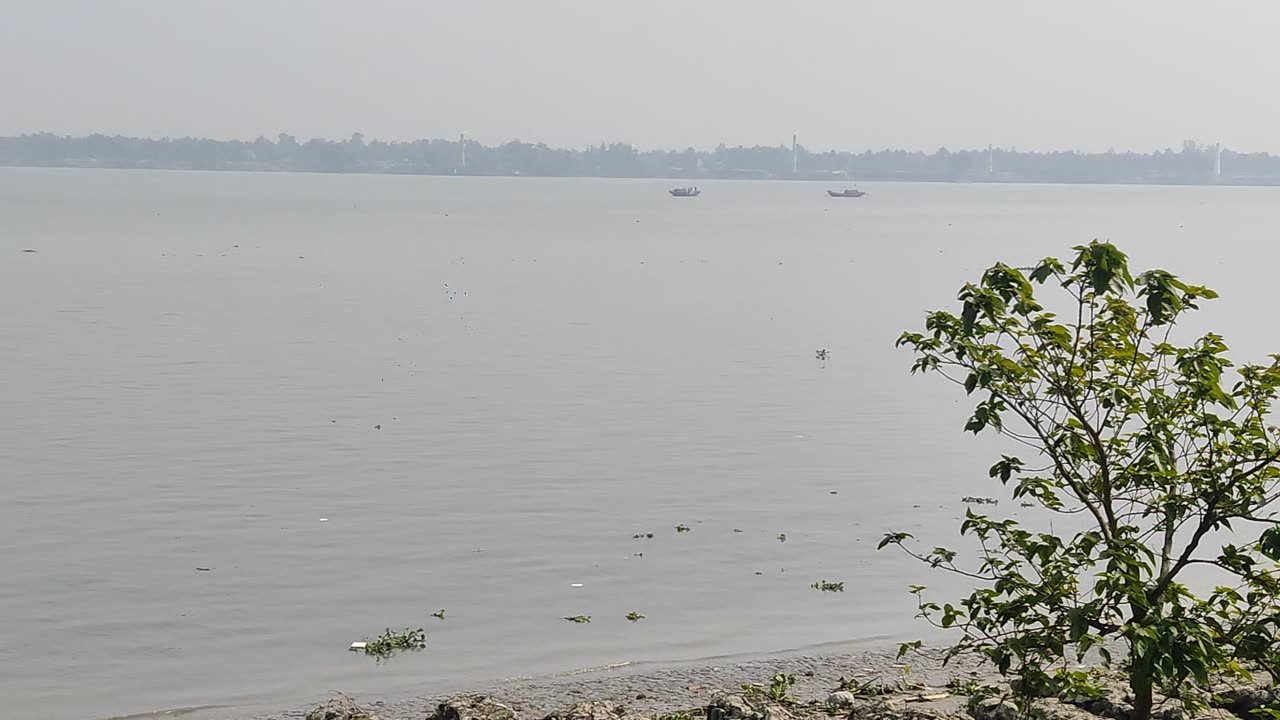 Indian Beautiful River Named Ganga | West Bengal | Totan Nandi