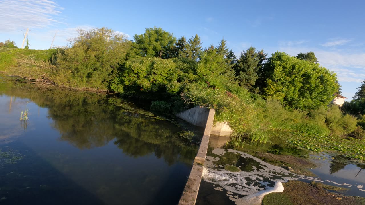 🌴2024💧 Welcome To Nepean Creek Park In Ottawa 🍁 Canada 🐸