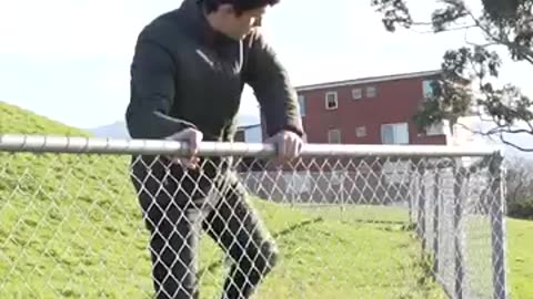 How animals get over a fence 😂😂