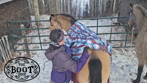 Horse Blanket Advertisement