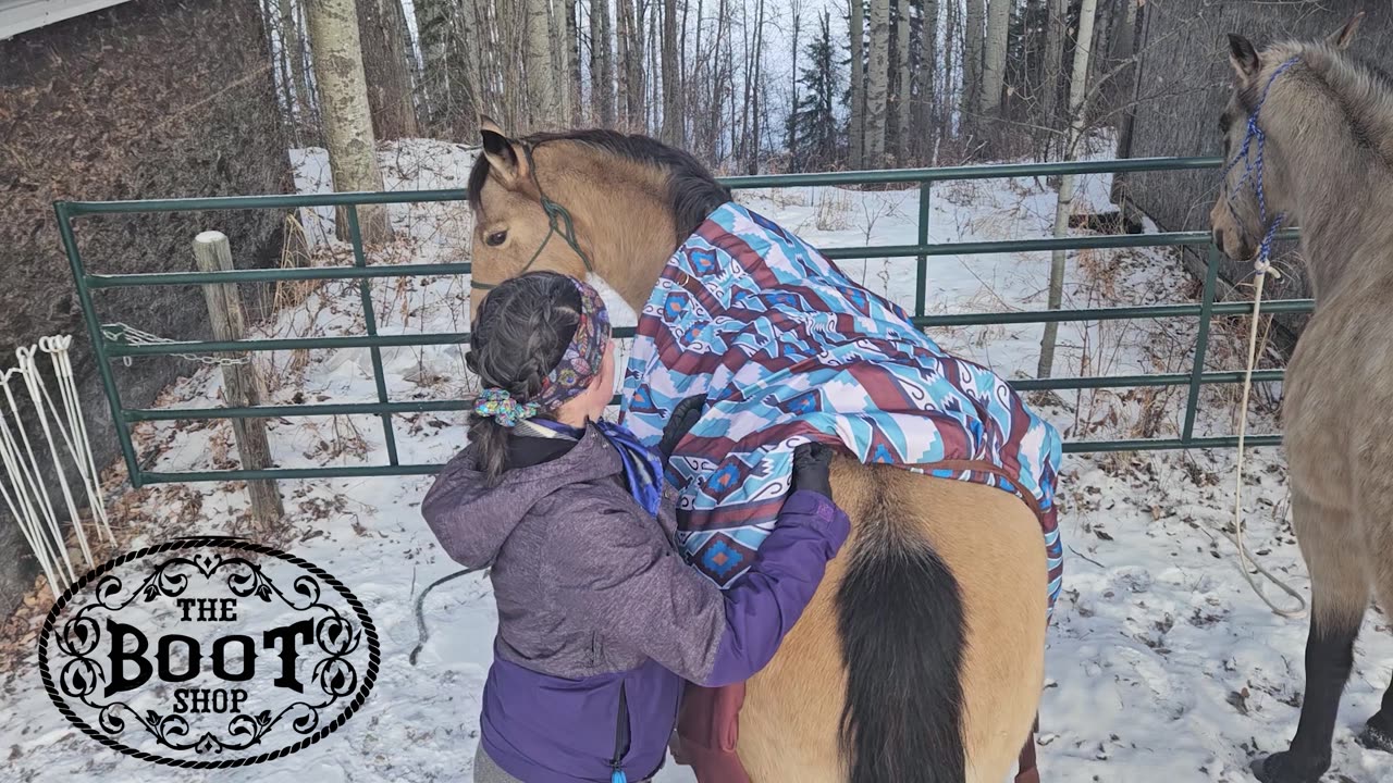 Horse Blanket Advertisement