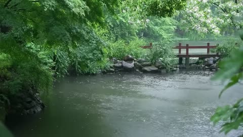 The beautiful little lake is raining