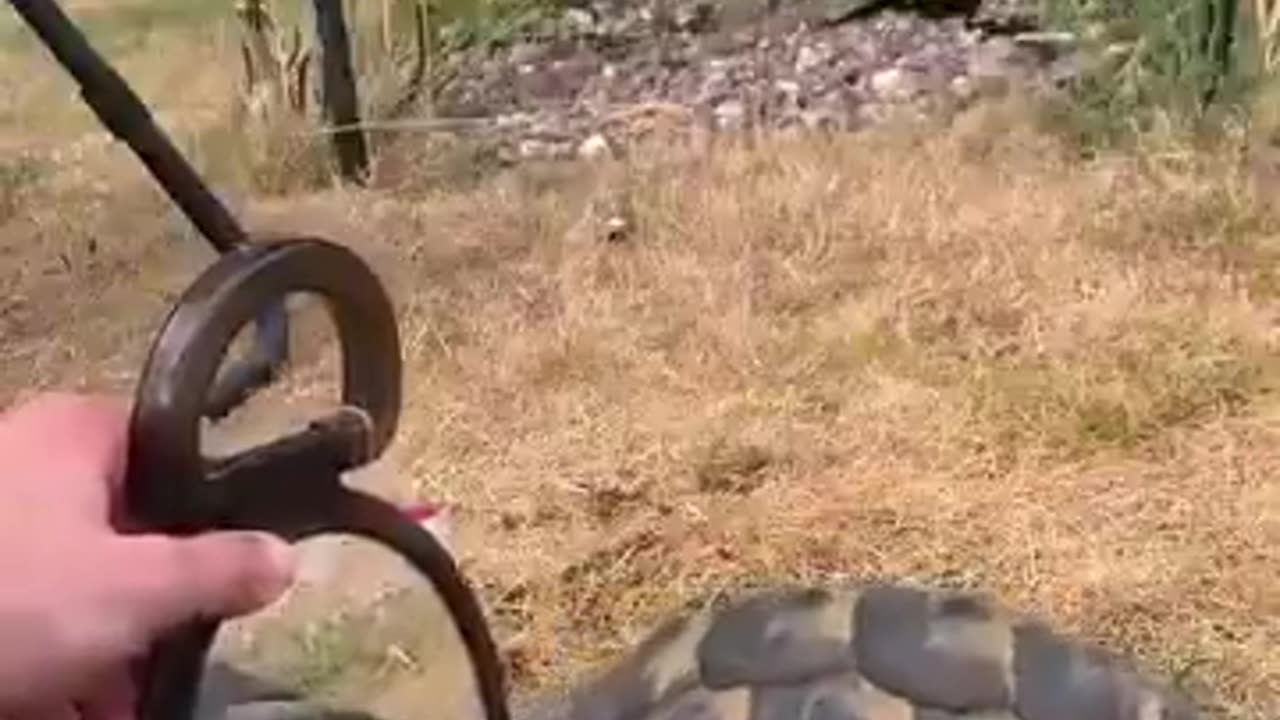 Can you explain this