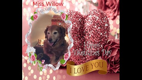 Golden Retrievers: Hearts of Gold present Valentine's Day 2025