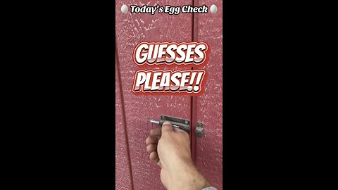 🥚 Today’s Egg Check! 🥚