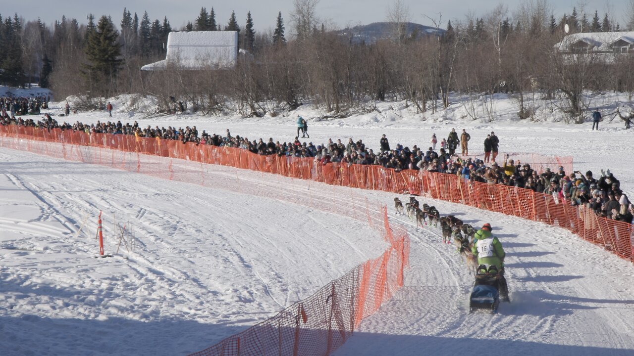 2025 Iditarod Race Kicks Off from Fairbanks, Alaska
