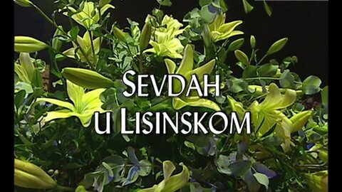 Sevdah u Lisinskom (2008) snimka koncerta