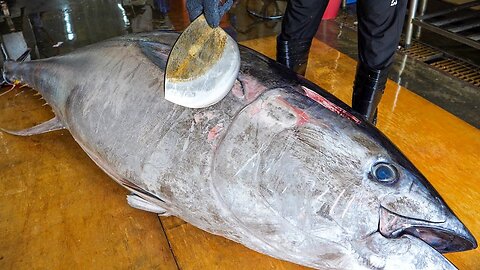 💰 $10,000 Giant Bluefin Tuna Cutting in Taiwan! 🐟 Luxurious Sashimi Prep 🔪🍣