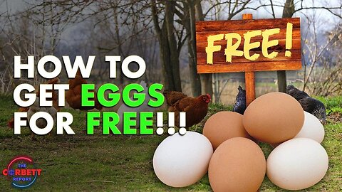 How to Get Eggs for Free!!! - #SolutionsWatch