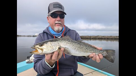 Florida West Coast Fishing Report