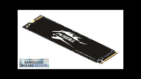 PUSKILL SSD M.2 NVMe 2280 Hard Disk 256GB 512GB PCIe3.0 Internal Solid Review