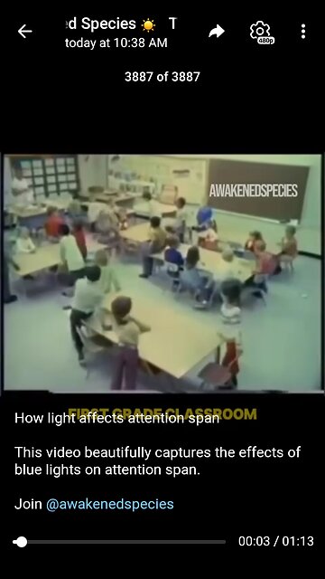 Documentary: Light and Attention Span