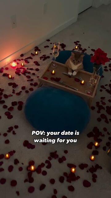 Ginger is patiently waiting for you.)