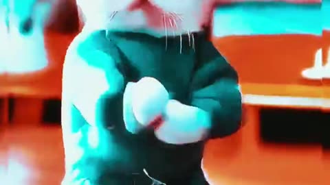 Cat Dance