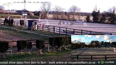 Mousehold Farm All Weather Riding arena