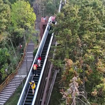 Which Country is Living 2077? 🌟🤩🤗