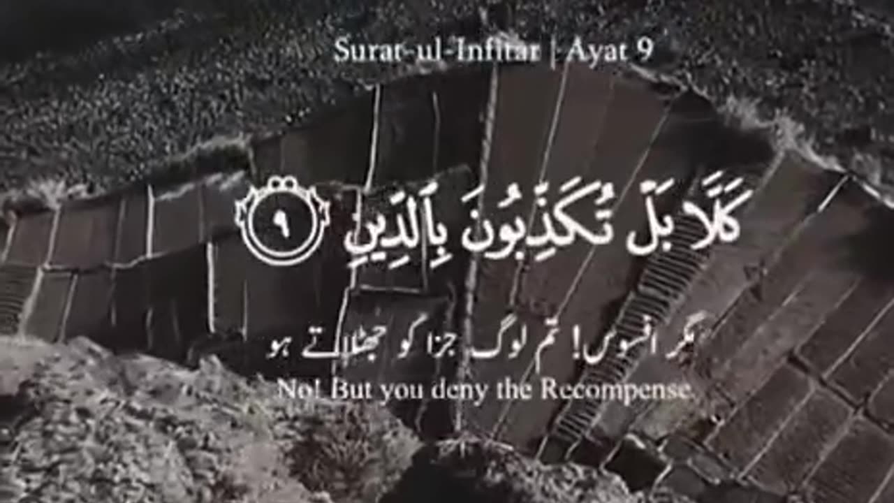 Beshak 💯♥️✨🕊️