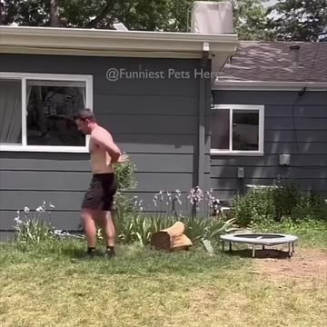 Funny animals videos part115