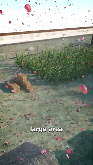 The Kentucky Meat Shower 😧