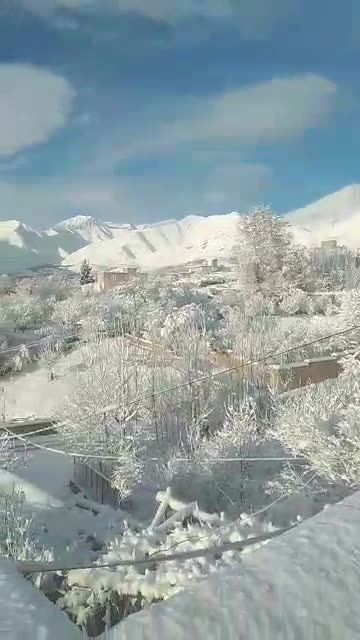 Sunny after misty snowy day