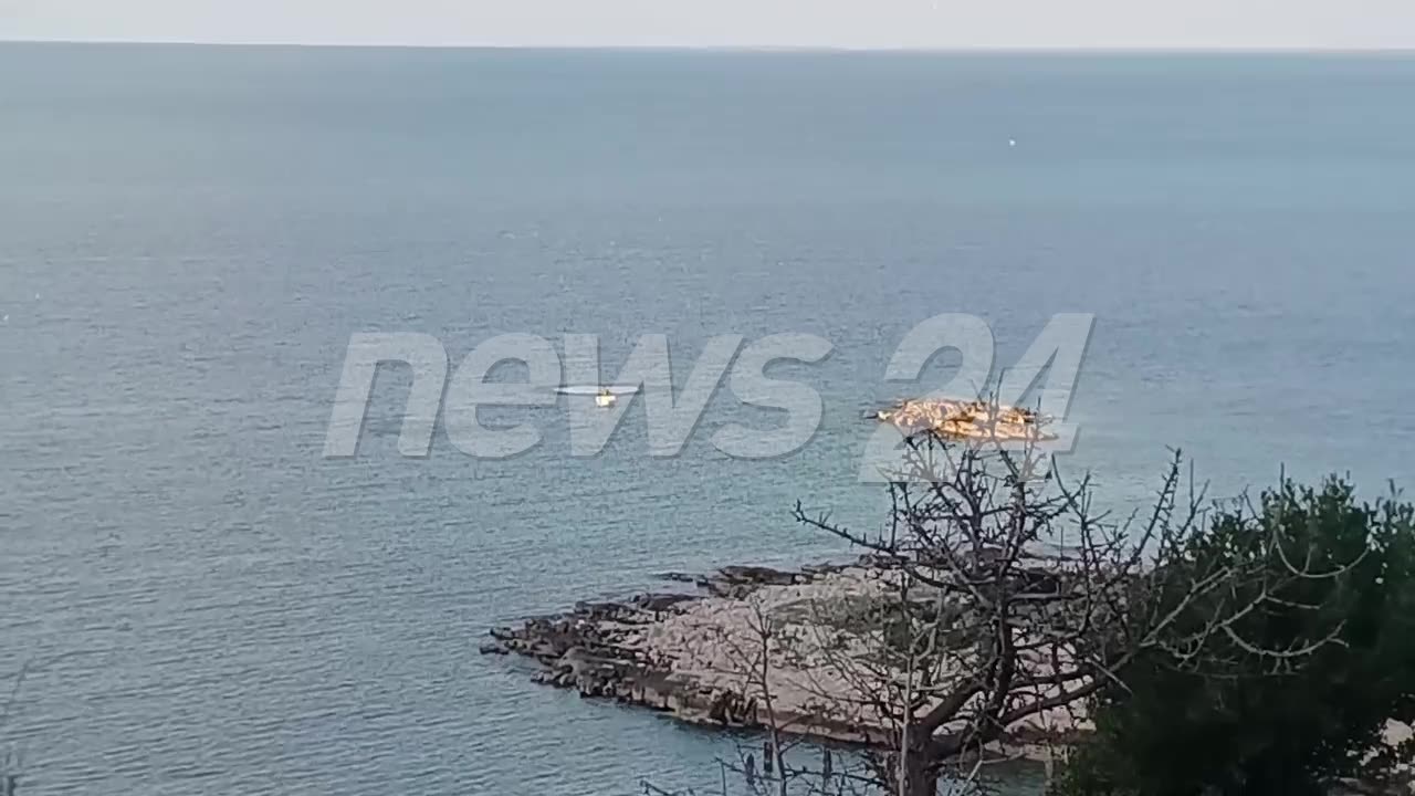 Peshkimi me dinamit shkakton dëme të mëdha, shihni breshkën e rrallë që pluskon e ngordhur