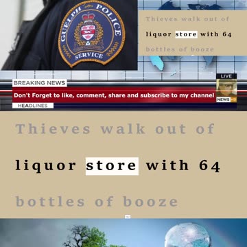 Thieves walk out of liquor store with 64 bottles of booze