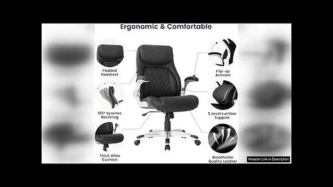 Nouhaus Ergonomic Office Chair Premium Microfiber Leather Adjustable Lumbar Support Review