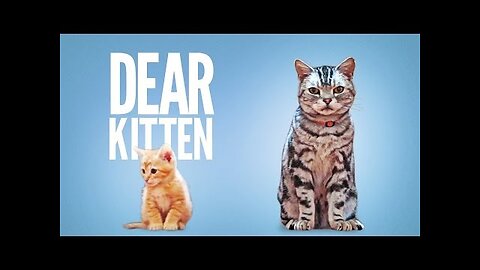 Dear Kitten