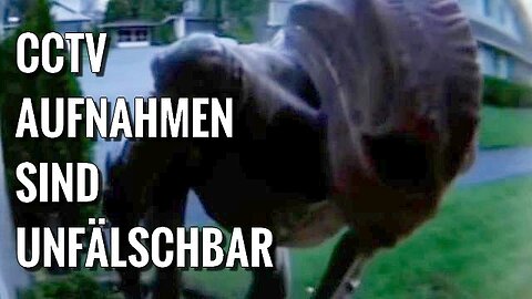 Eine Ring Kamera zeichnet das Unfassbare auf - Kreatur die wie ein grauer Alien aussieht