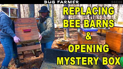 Removing Bee Barns & Opening 4 Year Old Mystery Box