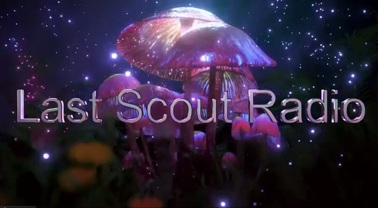 Into The Night 219 w/Trisha Jones