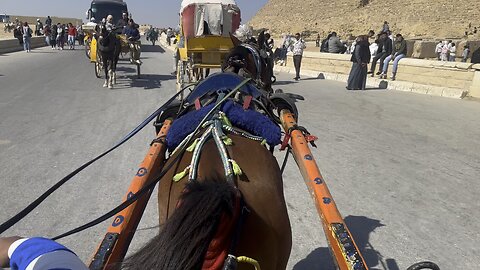 Horse cart riding in the pyramids of Giza