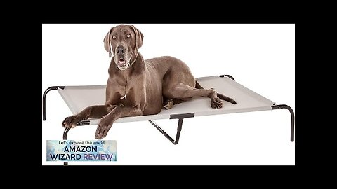 Amazon Basics Cooling Elevated Pet Bed For Dog X-Large Review