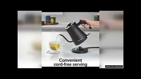 Hamilton Beach Compact 20 oz. / 0.6 Liter Gooseneck Electric Kettle Review