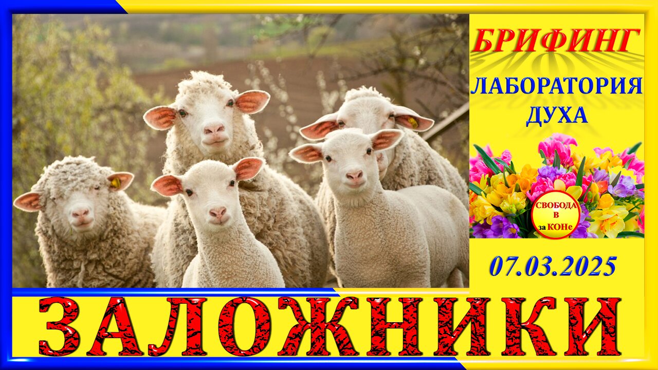 БРИФИНГ-ЗАЛОЖНИКИ цикла ЛАБОРАТОРИЯ ДУХА