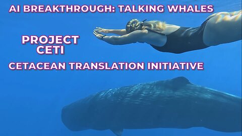 Project CETI: AI is Translating Whale Speech - Similar to Human Language!!