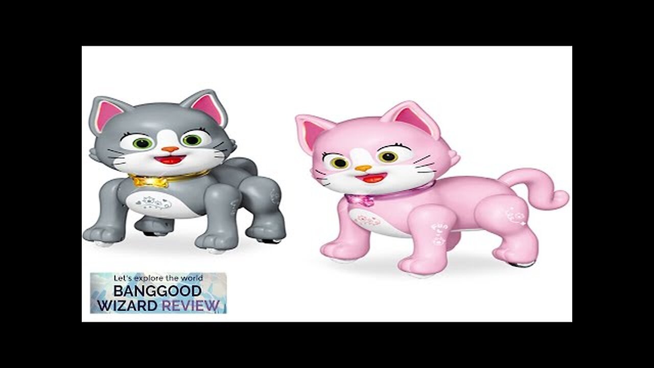 2.4GHz Remote Control Robot Pets Cat Rechargeable Cute Lighting and Music Robot Review