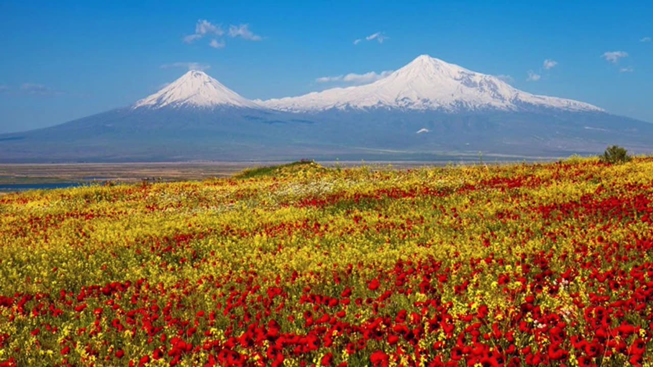 1 Corinthians chapter 15