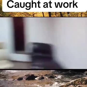 Scary Videos at the Office