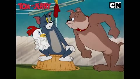 Tom & jerry funny moments